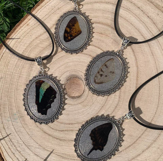 Pretty butterfly wing necklaces 🦋✨