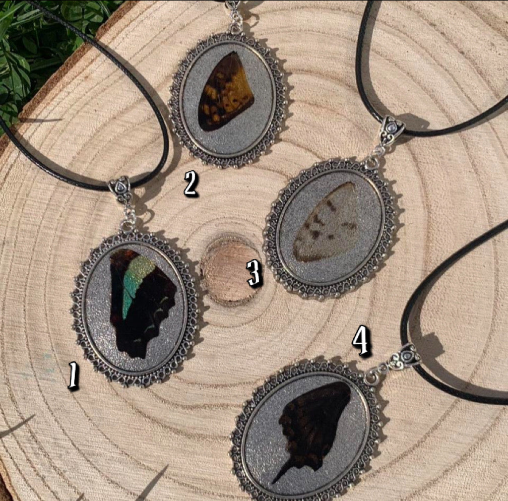 Pretty butterfly wing necklaces 🦋✨