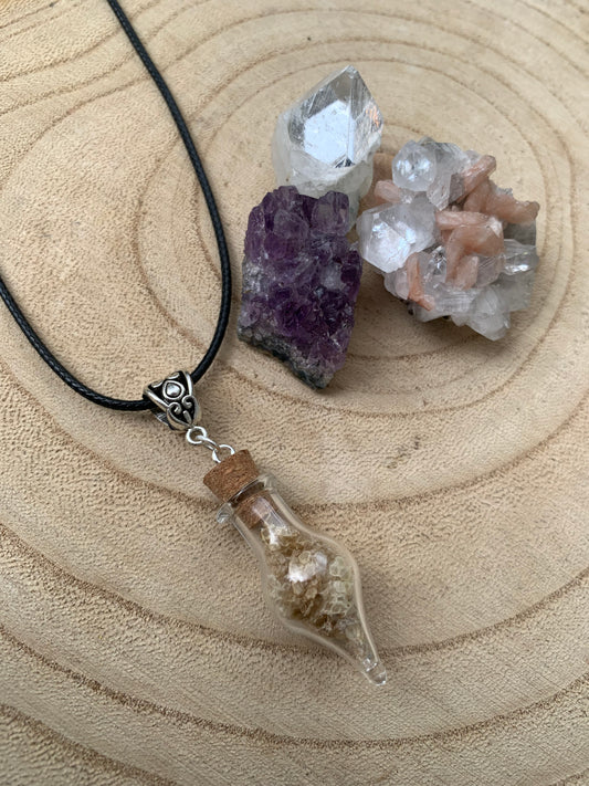 Bearded dragon shed necklace ✨