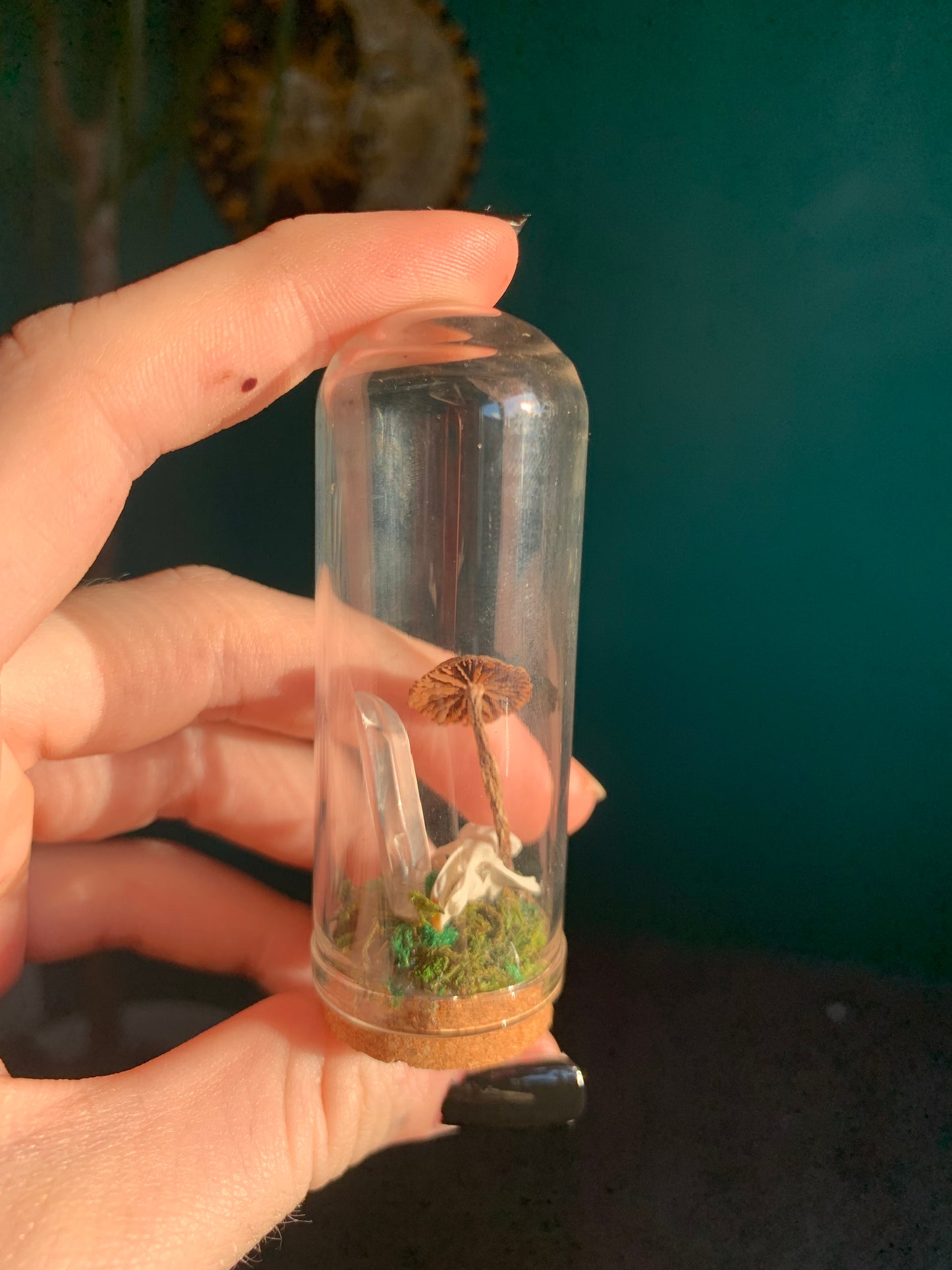 Curio mouse skulls and clear quartz crystal dombs 🦷🐍